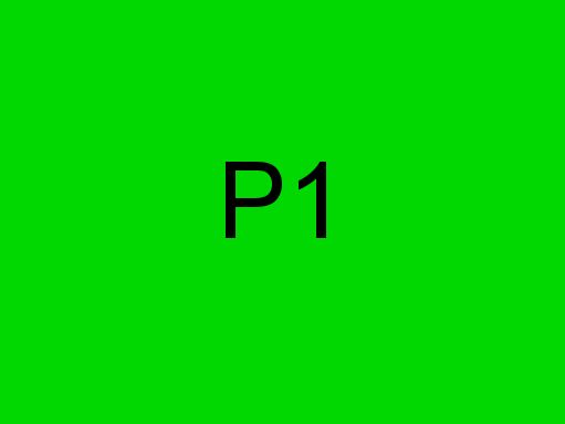 P1